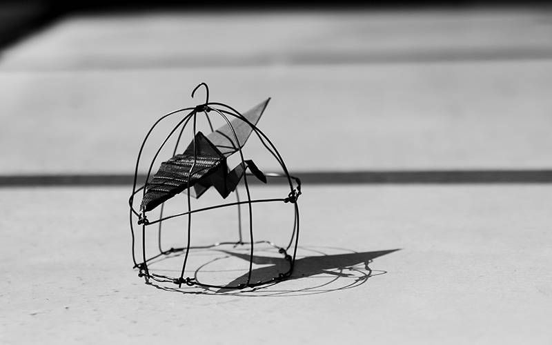 Mouvements ASBL / Des ailes qui libres dansent